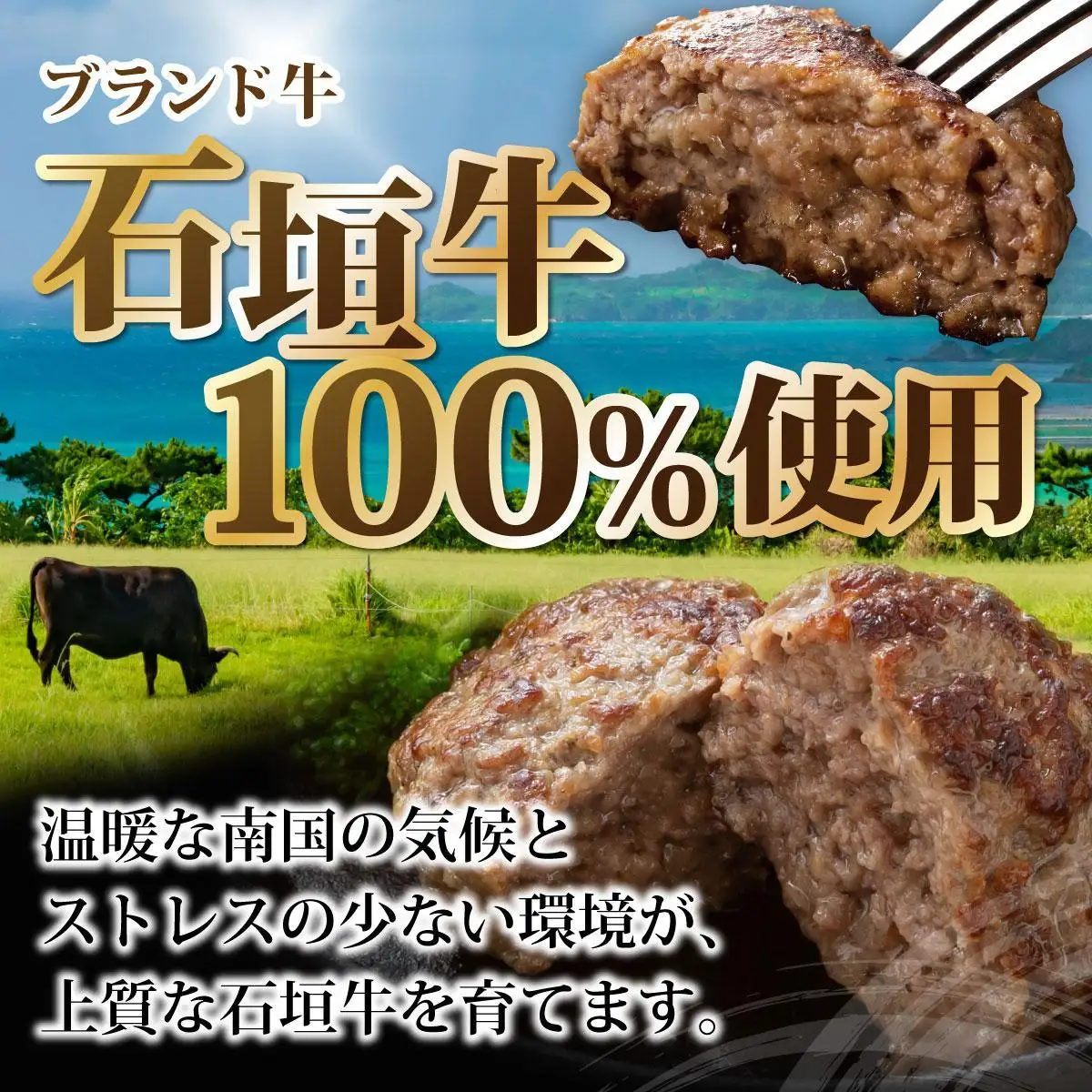 石垣牛ハンバーグ 1kg (100g×5個×2パック)