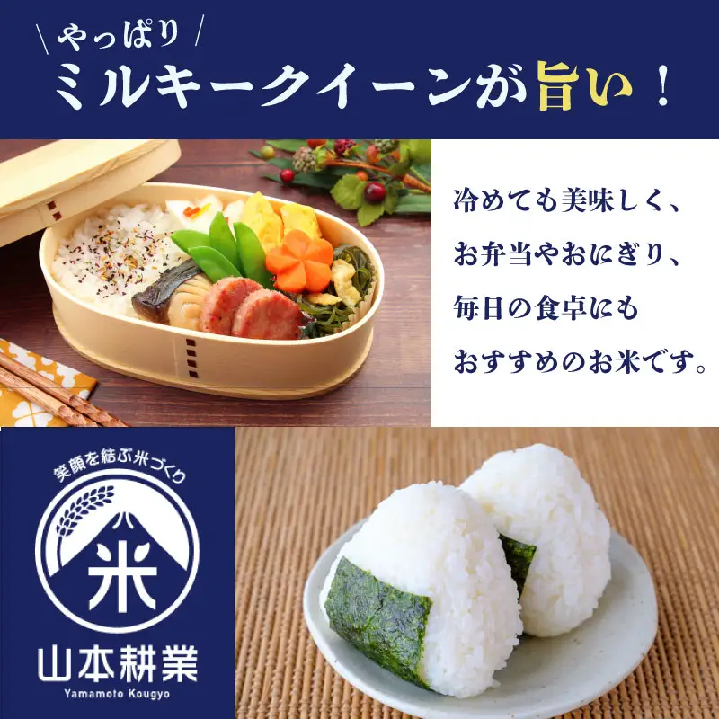 コシヒカリ 10kg 牧之原市 静岡県 山本耕業