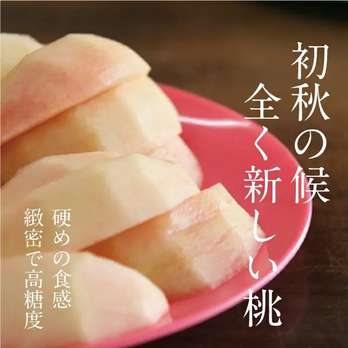 岡山白桃 （晩生／白皇・恵白） 秀品 大玉3玉 momo66 【配送不可地域：北海道／沖縄県／離島】 【jujy084-01】