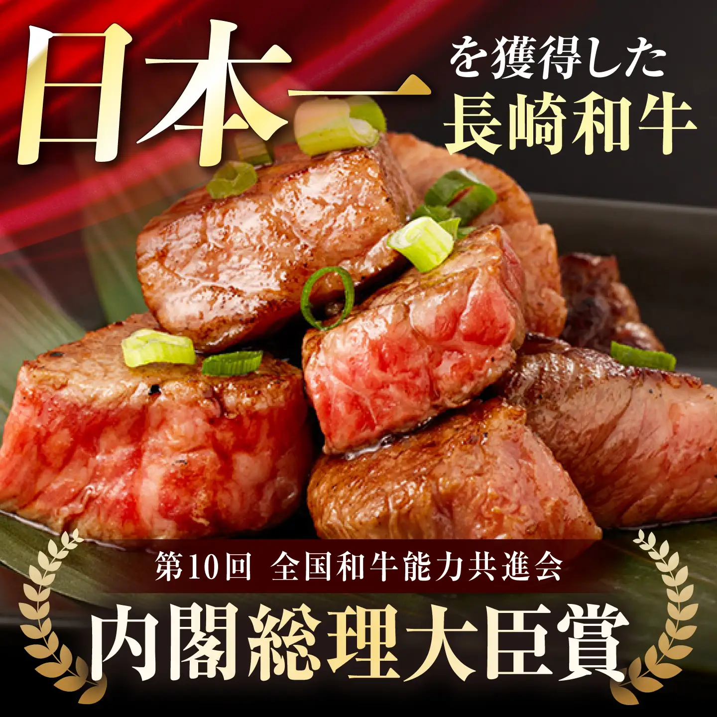 【手間ゼロ、極上の一皿】長崎和牛 A5 サイコロステーキ 400g / さいころすてーき ステーキ すてーき ステーキ肉 サイコロ 国産 和牛 牛 a5 牛肉 / 諫早市 / 野中精肉店[AHCW166]