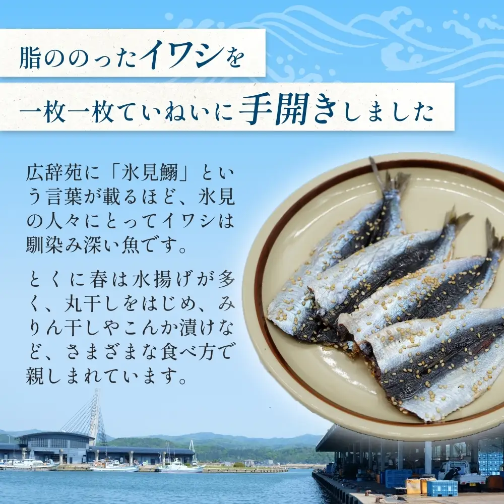 氷見名産 いわしみりん干し （4尾） 8セット 〈冷凍〉 富山県 氷見市 イワシ いわし  干物 みりん干 味醂干し 特産品 おつまみ