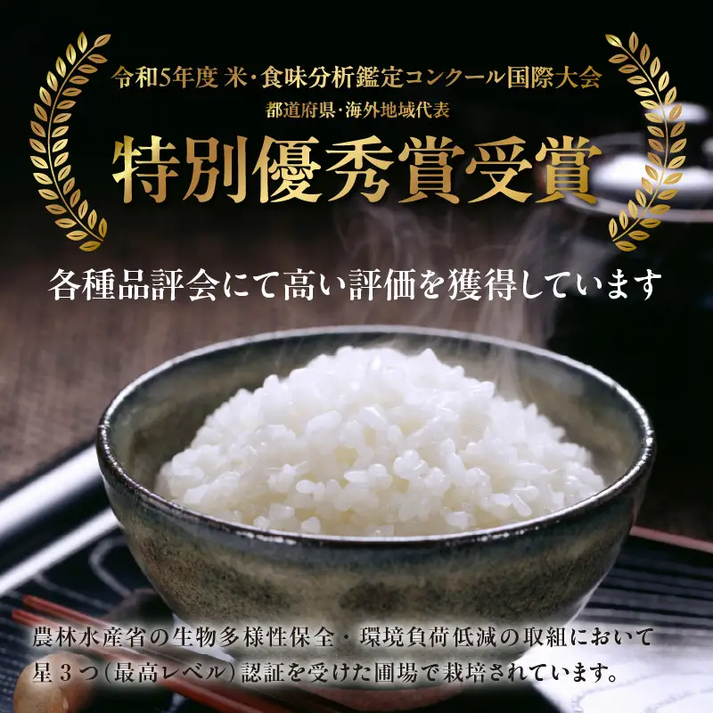 《先行予約》令和8年産 「とろかわの恋（極）」 香美町産 コシヒカリ 10kg（5kg×2）13-11