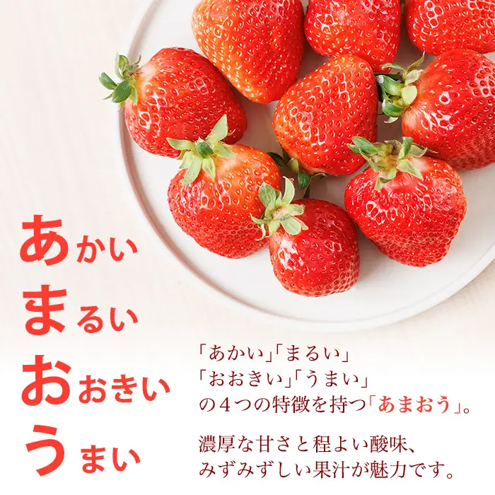 ＜数量限定・先行予約受付中！2027年2月下旬～3月末に順次発送＞福岡県産苺「あまおう」グランデ以上(計約540g)いちご 苺 フルーツ 果物 くだもの 福岡限定 家庭用 冷蔵 ＜離島配送不可＞【ksg1895】【hurrah.】