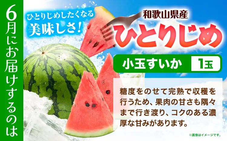 フルーツセット 果物セット(すいか 桃 ひらたねなし柿)【全３回】