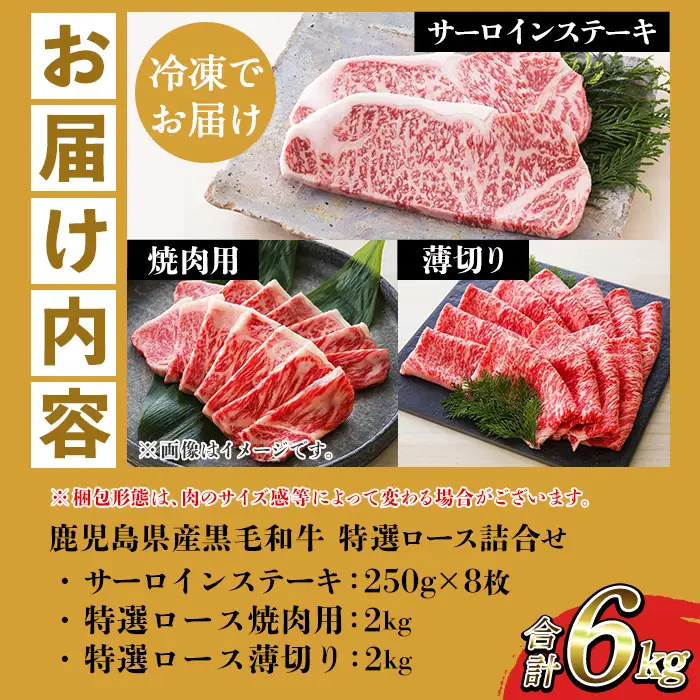 【お中元】牛肉 サーロイン ステーキ ロース(焼肉用・薄切り) 合計 6kg 牛肉【00-030-39-R8OC】