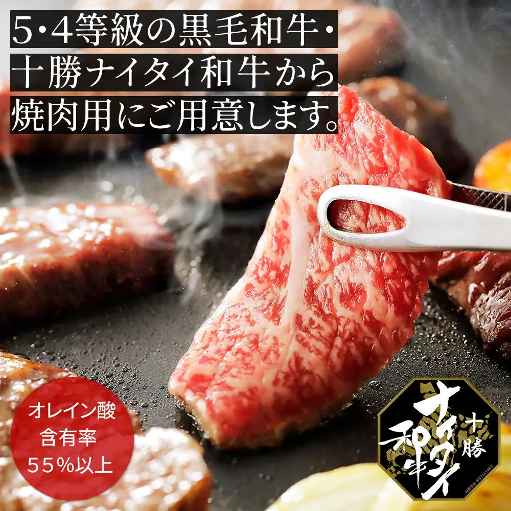 十勝ナイタイ和牛 焼肉 計600g（300g×2P） 国産 北海道 牛 肉 牛肉 国産牛 和牛 5・4等級 黒毛和牛 オレイン酸含有率55%以上 焼肉用 冷凍
