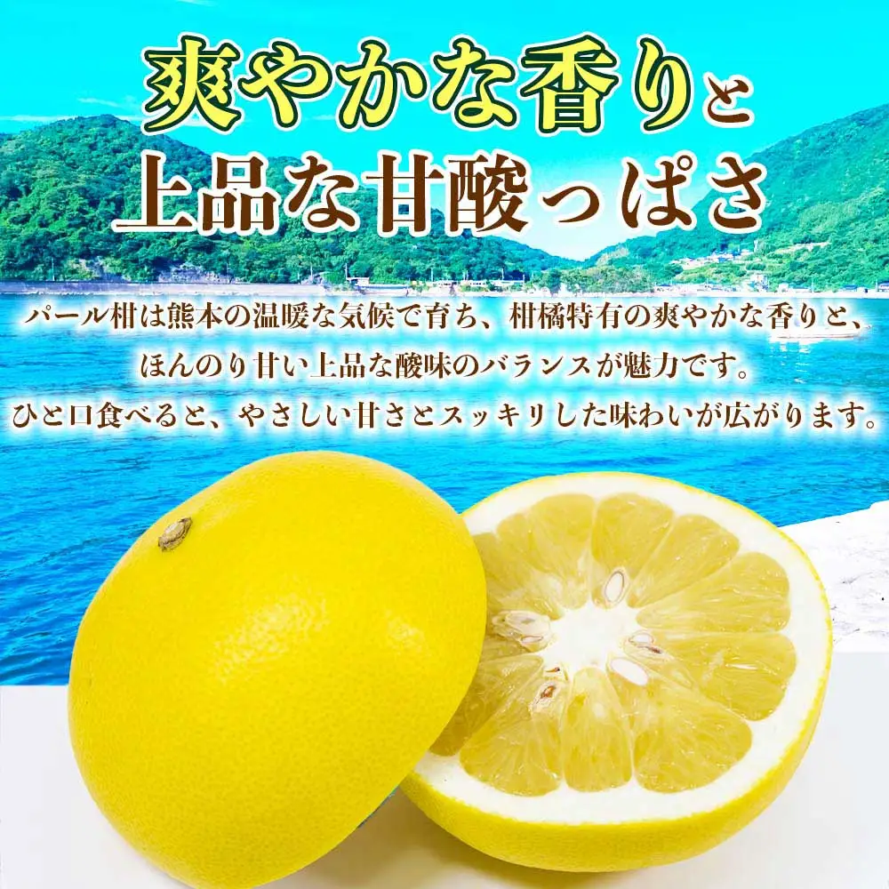先行予約 訳あり パール柑 文旦   約8kg  【2027年2月上旬～2027年3月下旬配送予定】