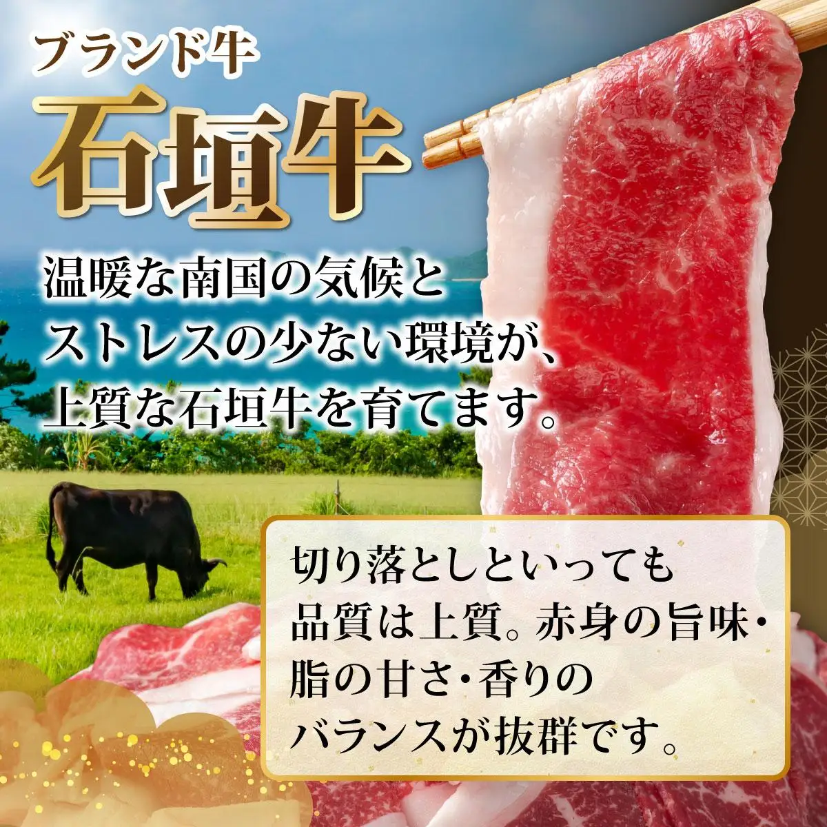 訳あり 石垣牛切り落とし 500g (500g×1パック)