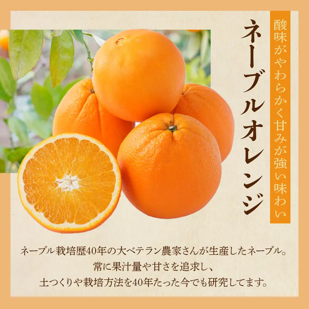 [先行予約] 和歌山県産ネーブル 約4kg　大玉（8個～9個）秀品 こだわり農家厳選 ［KG35］