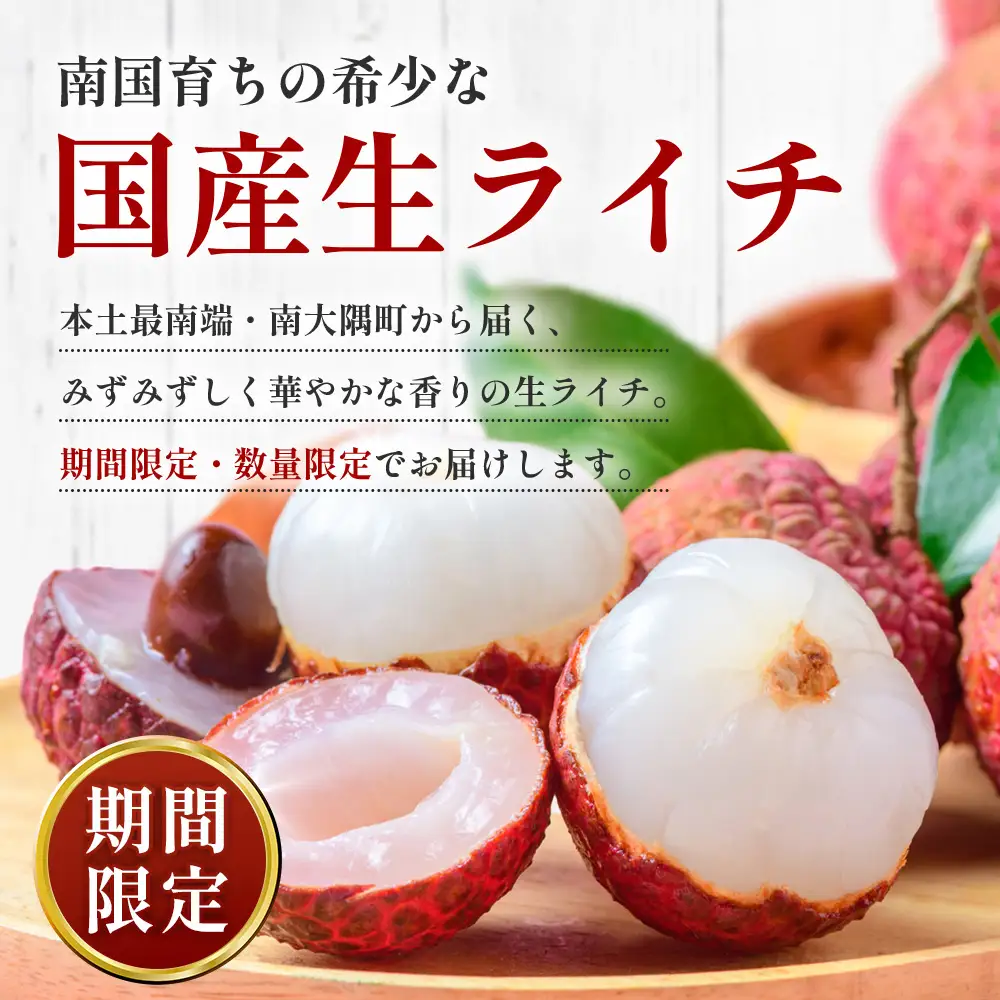 【期間限定・数量限定】 2026年7月より順次発送予定 生でお届け 佐多ライチ 約12粒～20粒 SG-1｜生ライチ 産地直送 新鮮 フレッシュライチ 国産ライチ フルーツ 果物 希少 鹿児島県 本土最南端 しげひさ農園