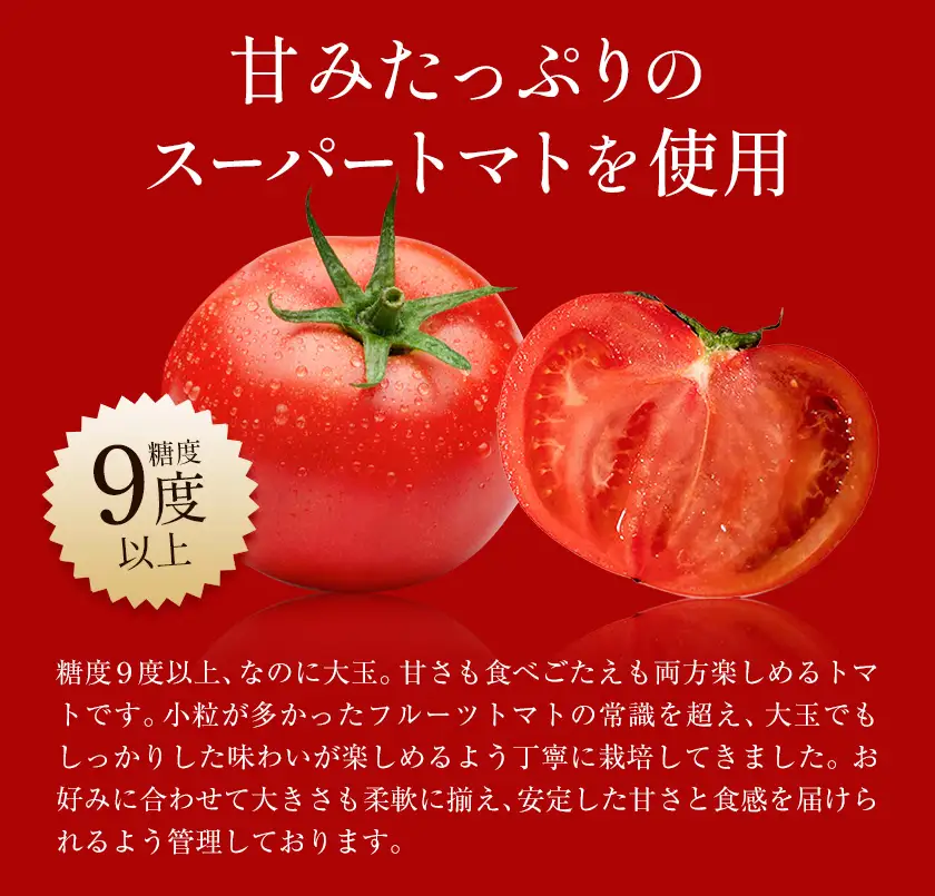 ビール クラフトビール トマト TOMATO ALE 330ml × 3本 《30日以内に出荷予定(土日祝除く)》 