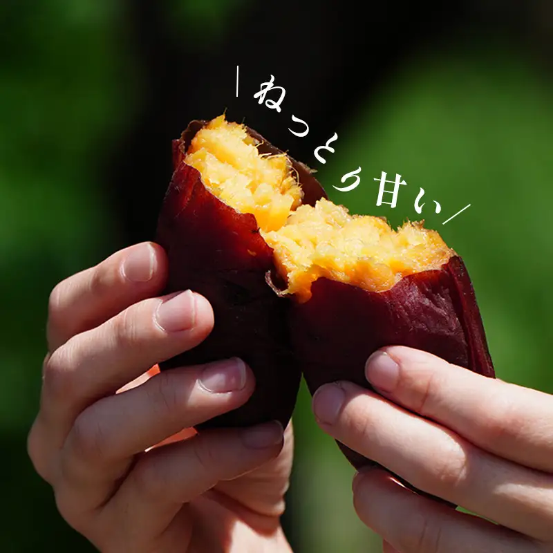 冷凍焼き芋 約1kg 人気 Viimo 美芋｜焼き芋 芋 熟成 さつまいも 紅はるか【VIM001】