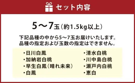 【 ご家庭用 】 岡山白桃 5～7玉 （ 約1.5kg以上 ） 白桃 もも モモ 桃 くだもの 果物 フルーツ 果実 果汁 果肉 甘み 香り 食感 国産 岡山県産 旬 【 2026年6月下旬～8月下旬発送予定 】