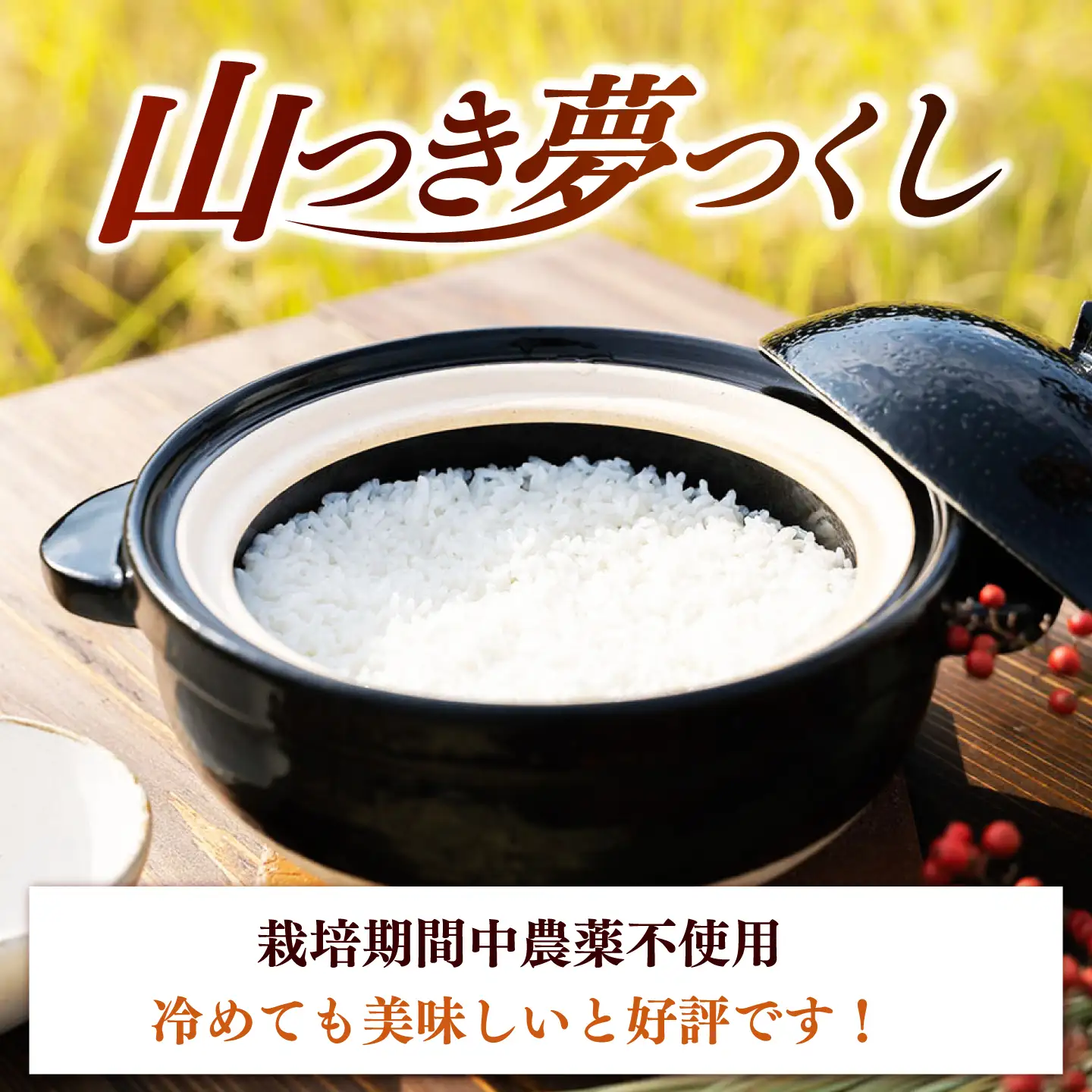 全6回定期便】農薬 を使わずに育てた 山つき 夢つくし 5kg【築上町
