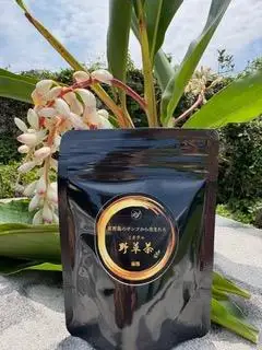 喜界島サンゴのミネラル野草茶「おおいたび茶」20g(４g×５パック)