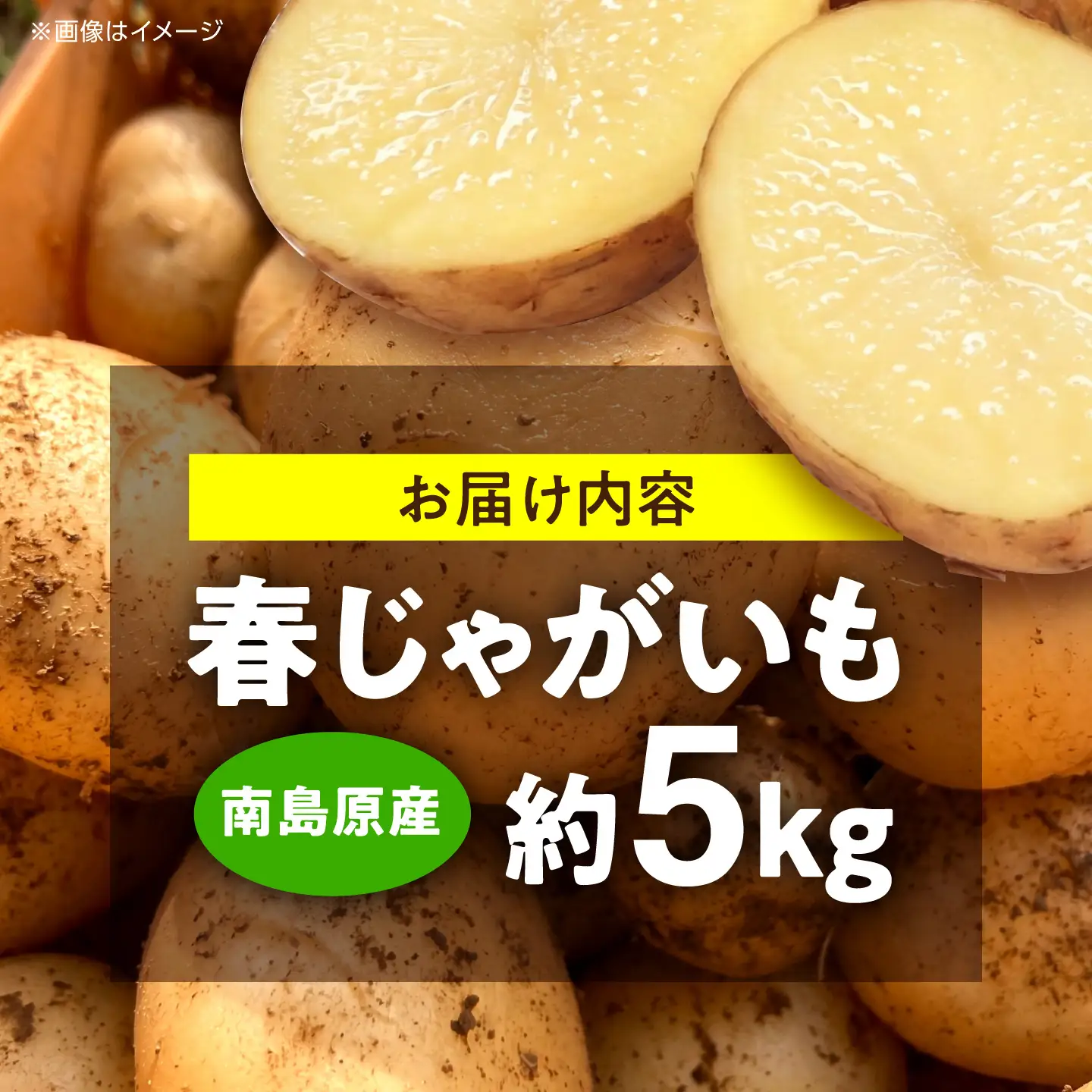 じゃがいも 約5kg 春じゃがいも[SGU001]