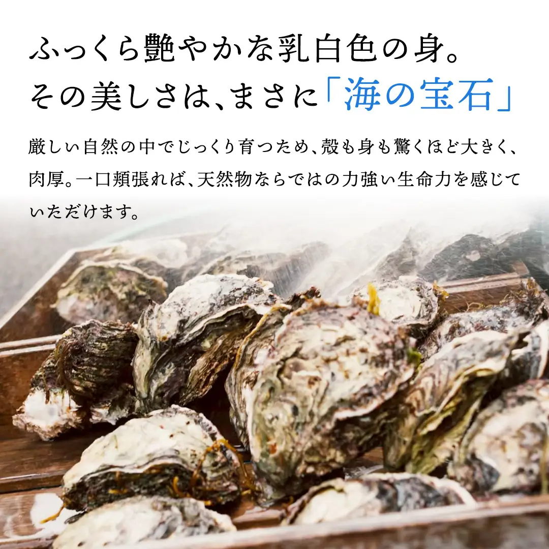 天然・生食可 大・特大サイズ 岩牡蠣 5個 瀬戸内産  《ナイフ・軍手付き》 産地直送