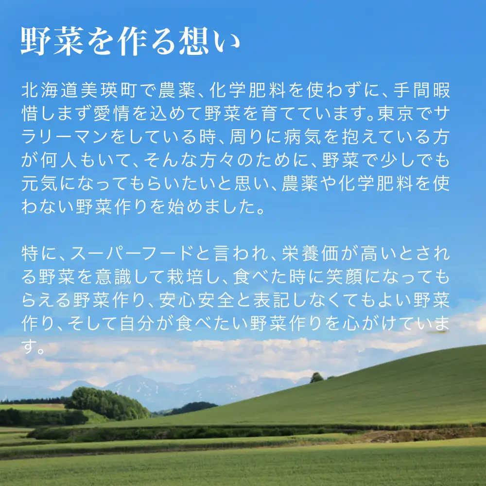 季節の野菜セット【大】定期便 3回便 7月 8月 9月発送 旬野菜 詰め合わせ あらいふぁーむ