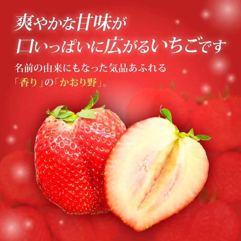 【2027年1月～発送予定】いちご かおり野 約270g×4パック drm006
