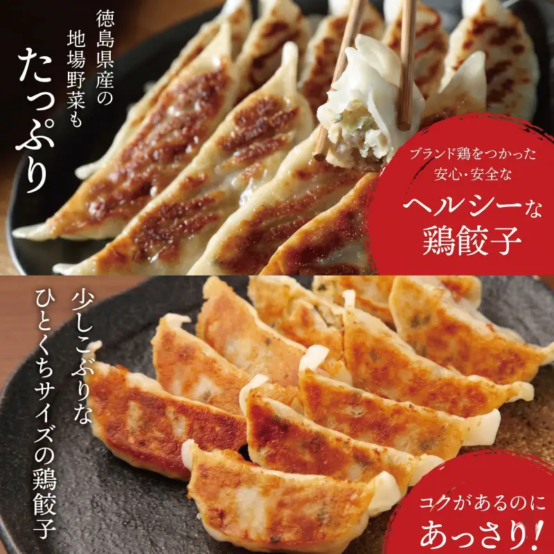 餃子 阿波尾鶏 16個 餃子