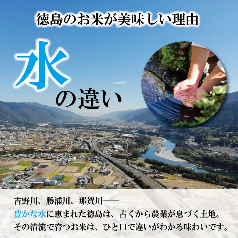 コシヒカリ 5kg 徳島県産 コシヒカリ 令和7年産