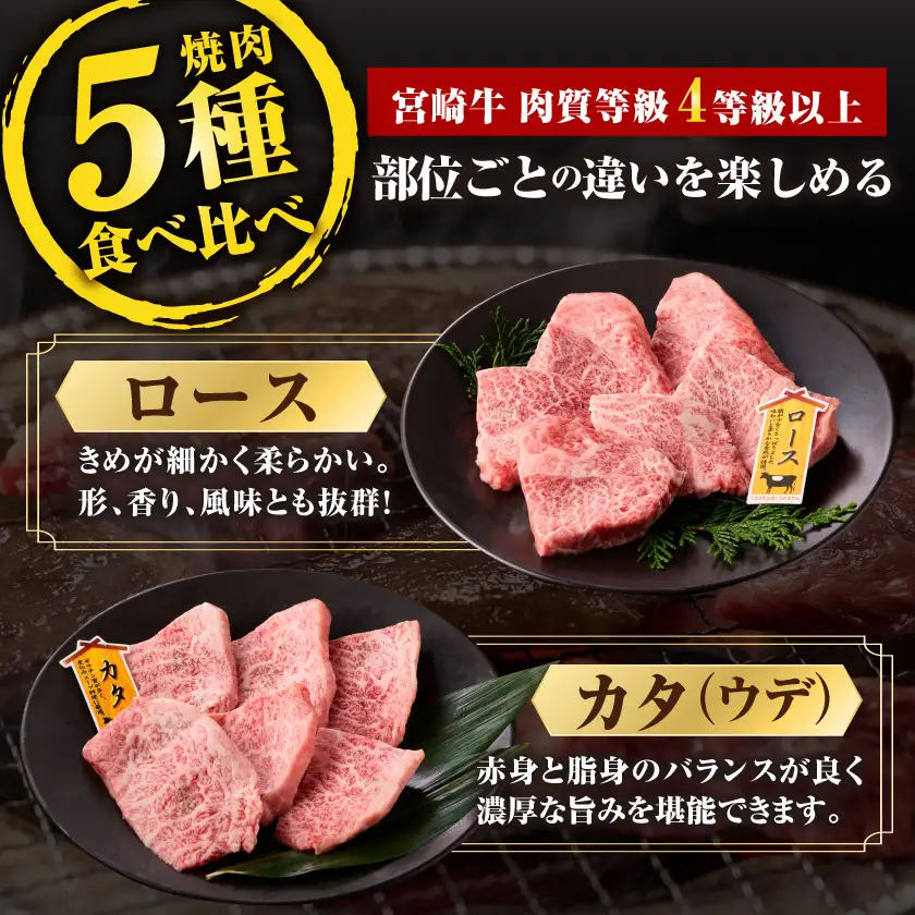 宮崎牛バラエティ焼肉セット500g〔16-89-004-500g〕_(都城市) 宮崎県産 宮崎牛 焼肉 BBQ 黒毛和牛 ロース カタ(ウデ) バラ 肩ロースうす切り モモ 5種盛り 食べ比べ