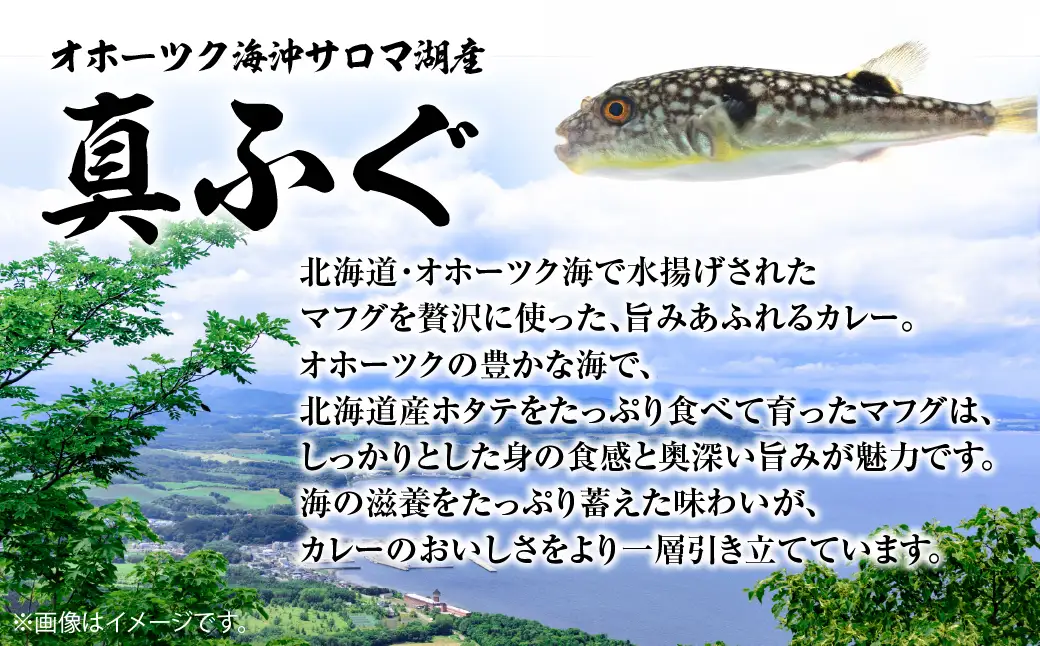 マフグたっぷり！ ふくカレー×5【北海道オホーツク海産フグ】 SRMN028