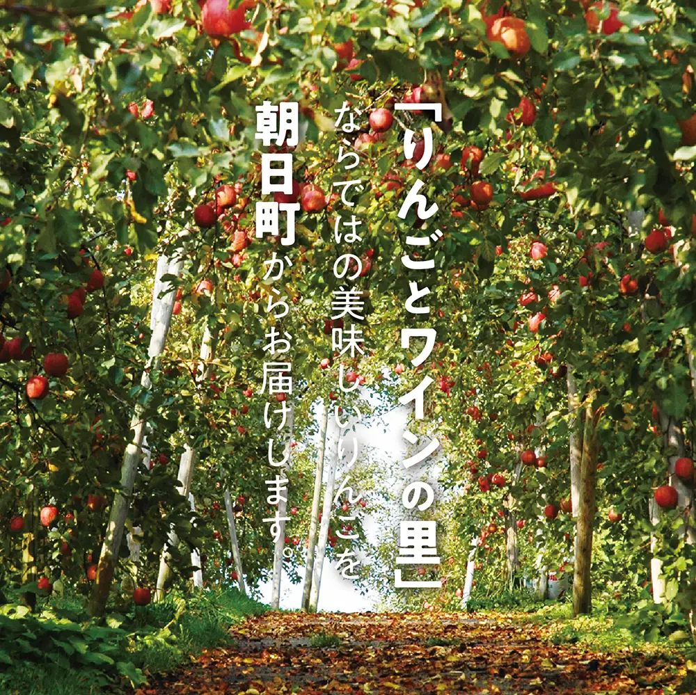 りんご 無袋ふじ 秀品 2kg 【12月上旬～下旬発送】 サンふじ 山形県 朝日町産 山形県産 特産 果物 フルーツ リンゴ 林檎 冬