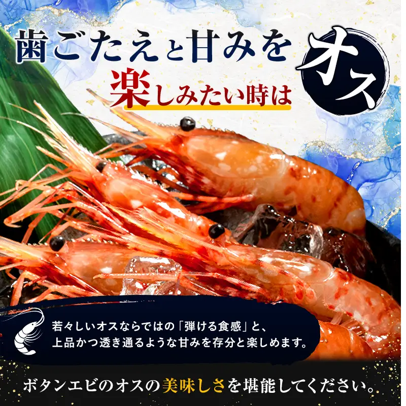 【新物】冷凍ボタンエビ（オス）500g 北海道噴火湾産 ＜海鮮問屋　株式会社　瑞宝＞ えび エビ 海老 ぼたんえび ぼたん海老 ボタン海老 ボタンエビ ぼたんエビ 牡丹海老 北海道 森町 ふるさと納税 北海道 mr1-1406