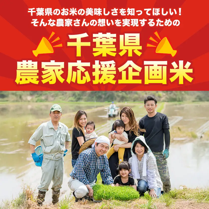 米 精米 千葉めぐみ米 10kg 千葉県産