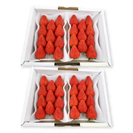 【先行受付2027年発送】紅ほっぺセット(4パック約1040g)甘さと酸味がほどよく爽やかないちご【配送不可地域：離島・北海道・沖縄県・四国・九州】【1676900】
