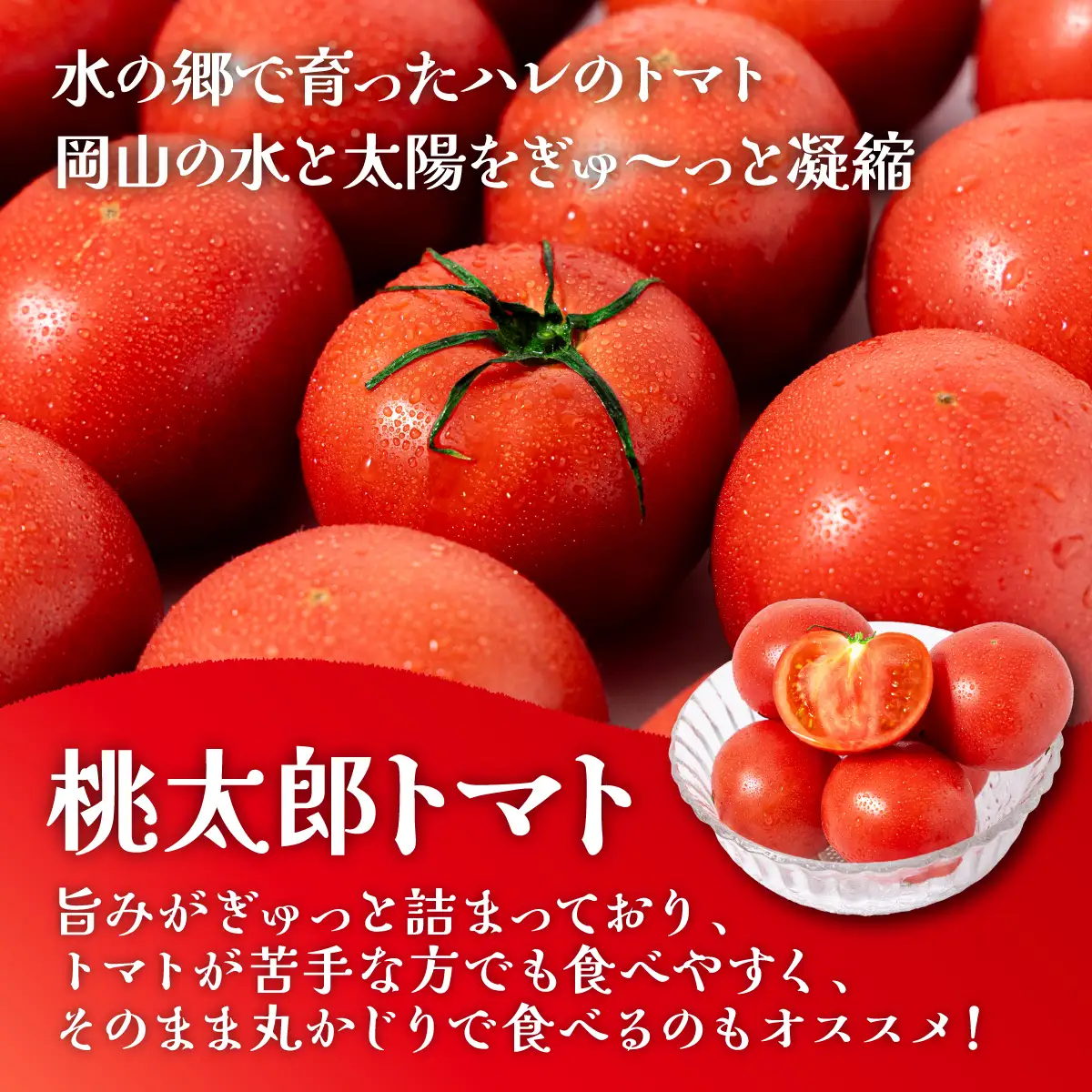 桃太郎トマト　3.5kg～4kg　2L(20玉)～L(24玉)