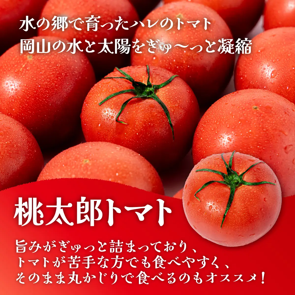 桃太郎トマト［規格外］　3.5kg～4kg　バラ詰め
