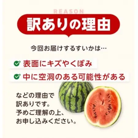 【訳あり】 大玉すいか 5kg 1玉(益城町)【配送不可地域：離島】【1736972】