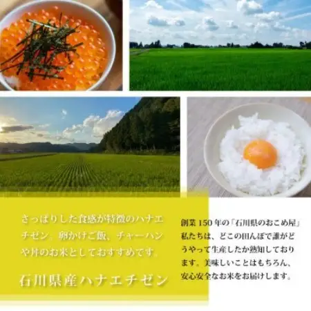 【毎月定期便】【家庭料理にぴったりの旨み】石川県野々市市産ハナエチゼン玄米 5kg全3回【4085908】