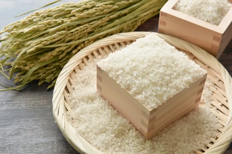 特別栽培米・伊賀米結びの神 10kg【tuli0004A】