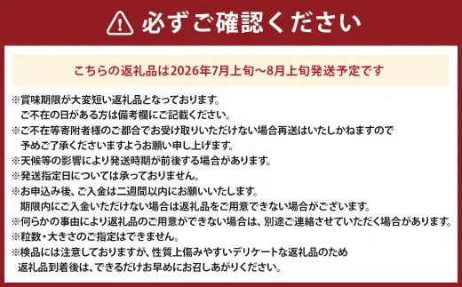 ラビットアイ系 ブルーベリー 約100g × 6パック 合計約600g くだもの 果物 フルーツ 果実 果汁 果肉 新鮮 国産 岡山県産 旬 ジャム プレゼント ギフト 贈り物 贈答品 贈答 【 2026年7月上旬～8月上旬発送予定 】