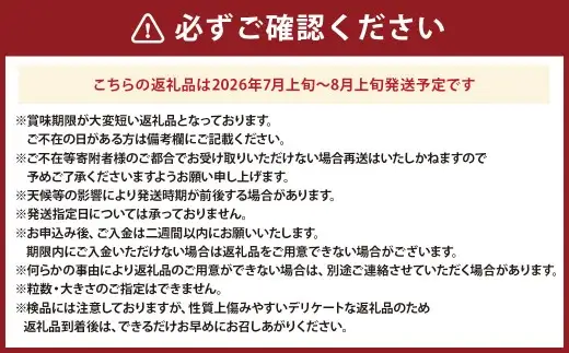 ラビットアイ系 ブルーベリー 約500g × 2パック 合計約1kg くだもの 果物 フルーツ 果実 果汁 果肉 新鮮 国産 岡山県産 旬 ジャム プレゼント ギフト 贈り物 贈答品 贈答 【 2026年7月上旬～8月上旬発送予定 】