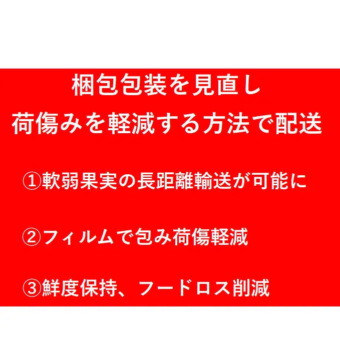 数量限定 いちじく 蓬莱柿 ほうらいし 約1kg 8粒～12粒 朝穫れ 果物 フルーツ 無花果 イチジク 愛知県産 デザート おやつ 食後 朝採り 産地直送 お取り寄せ 送料無料 名古屋西青果 愛知県 蟹江町