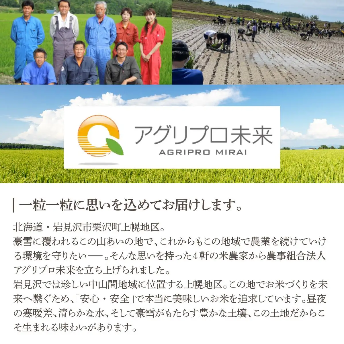 令和7年産 アグリプロ未来のゆめぴりか 5kg【a178-001】