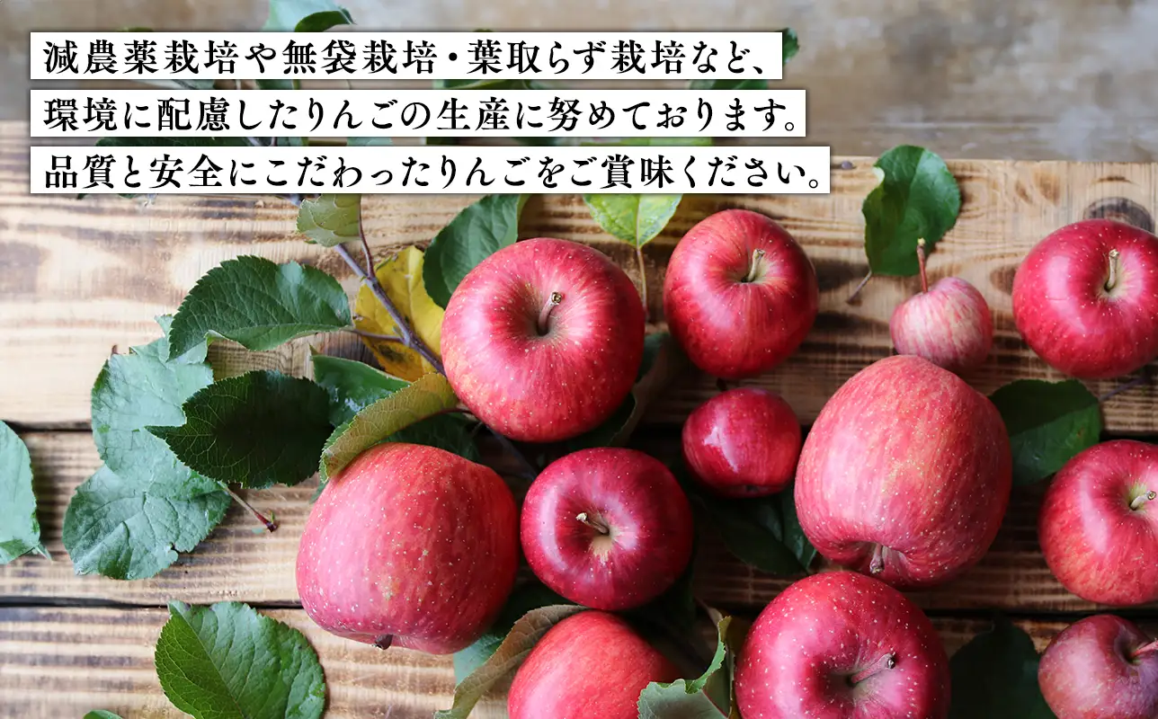 【2026年5～6月発送】【訳あり】家庭用葉とらずサンふじ3ｋｇ【そと川りんご園】【hi-0053-084】
