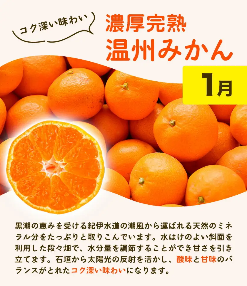 紀州 和歌山産 旬の ご家庭用 柑橘 セット (みかん 不知火 せとか 清見)【全4回】 株式会社魚鶴