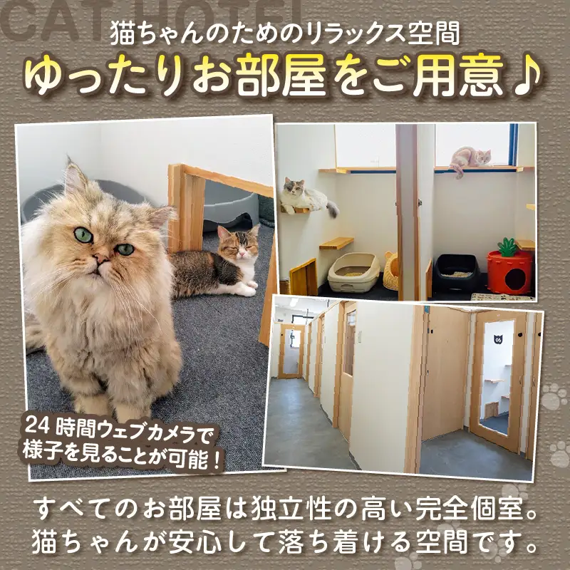 CAT HOTEL & TRIMMING　うぃんべる　宿泊利用券　2匹専用プラン│ペットホテル 宿泊券 猫 1泊2日 愛知県 常滑市