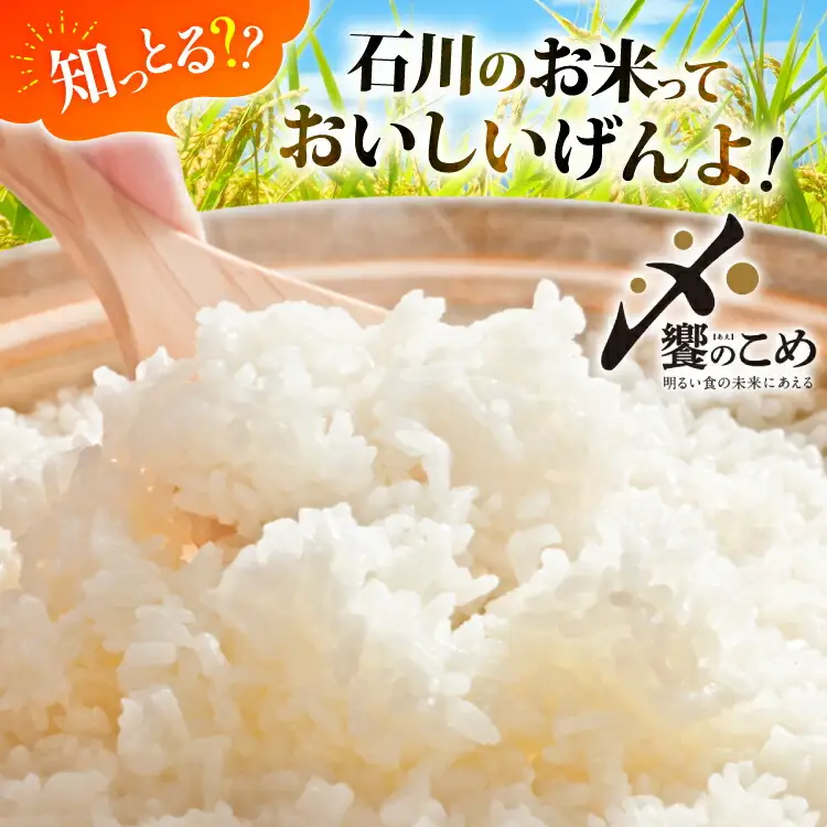 米 定期便 石川のお米 食べ比べ 5kg 3回 総計15kg こしひかり ゆめみづほ ひゃくまん穀 [中橋商事株式会社 石川県 宝達志水町 38601399]