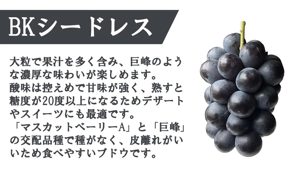 《訳あり》でも誇れる美味しさ　【BKシードレス】　1.0kg以上（3～4房）　【2026年発送分 先行予約】- FUJIKAWA GRAPES -　嬉しい満足感