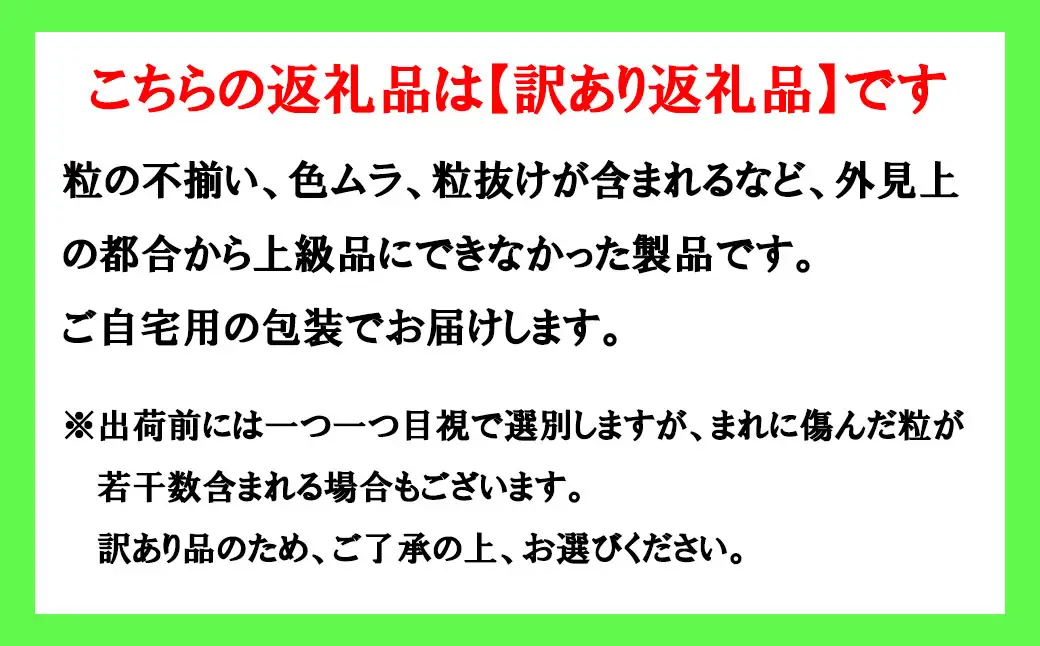 《訳あり》でも誇れる美味しさ 【シャインマスカット】 1.0kg以上（２～3房） 【2026年発送分 先行予約】- FUJIKAWA GRAPES -　 嬉しい満足感