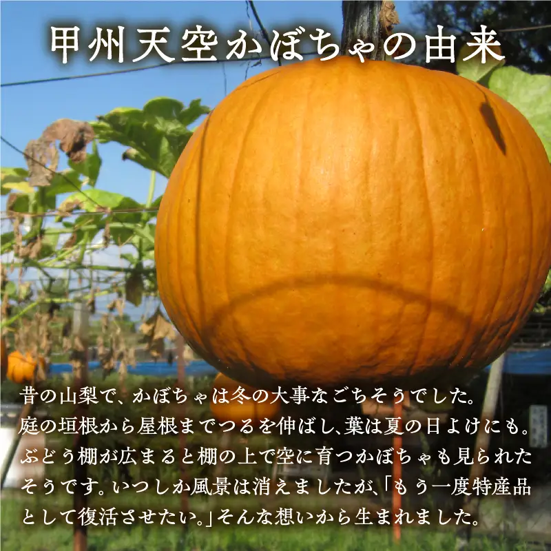甲州天空かぼちゃポタージュ【常温保存が可能なタイプ】