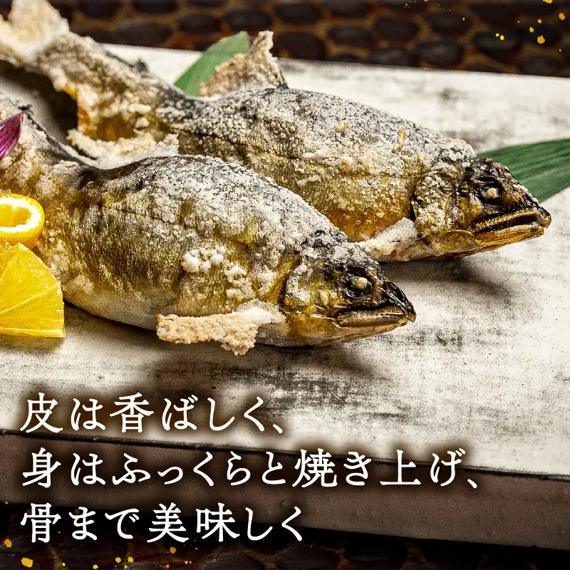 甲州桂川産 鮎の塩焼き【常温保存が可能なタイプ】