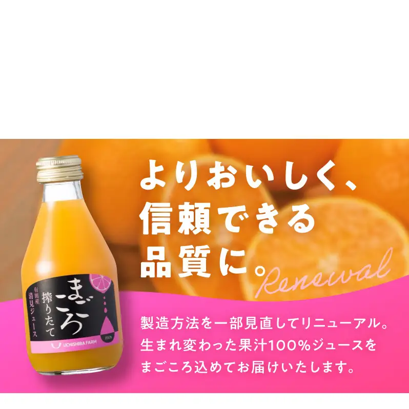 ZE6430_【まごころ搾りたて】清見 100%ジュース 180ml × 12本