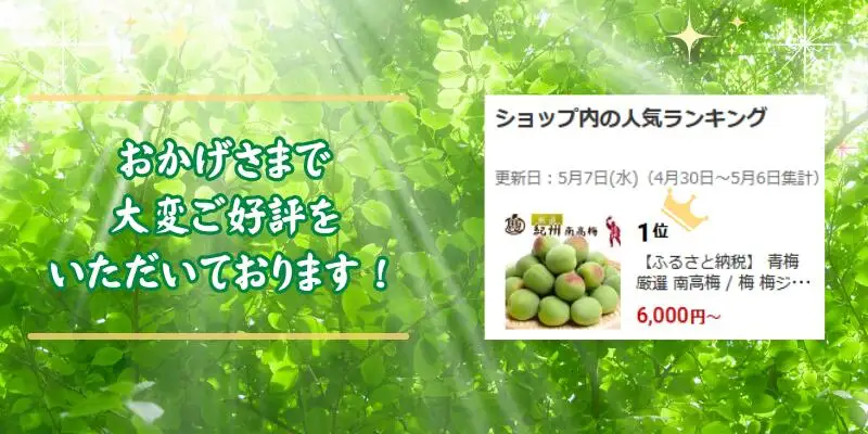 青梅 厳選 南高梅 20kg+250g（痛み補償分） / 梅 梅ジュース 梅酒 梅干し 高級 和歌山 ※5月~6月発送予定 ※北海道・沖縄・離島への配送不可 【ikd508-p-20】